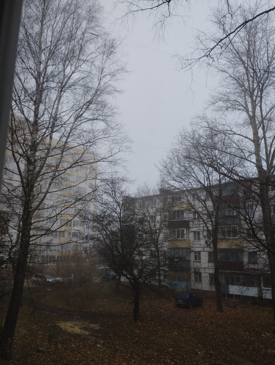Утро сегодня. 