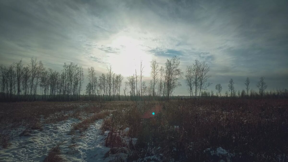     Звуки, похожие на взрывы, были слышны 10 ноября около 15.00 часов.