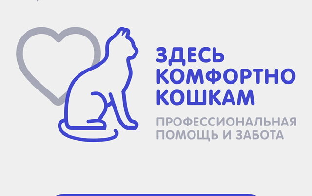 Знак , который дает клинике статус «Cat Friendly”