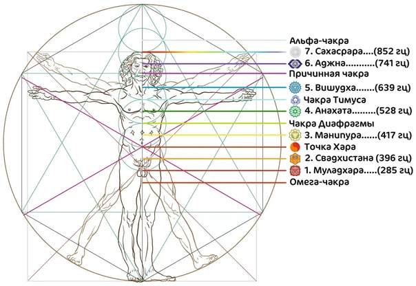 Диапазон тел человека. Частоты чакр человека в Герцах. Частота вибрации чакр Герц. Частоты сольфеджио для чакр. Частота вибраций чакр человека в Гц.
