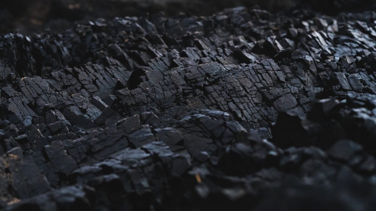    Фото: unsplash.com. Август Макаров