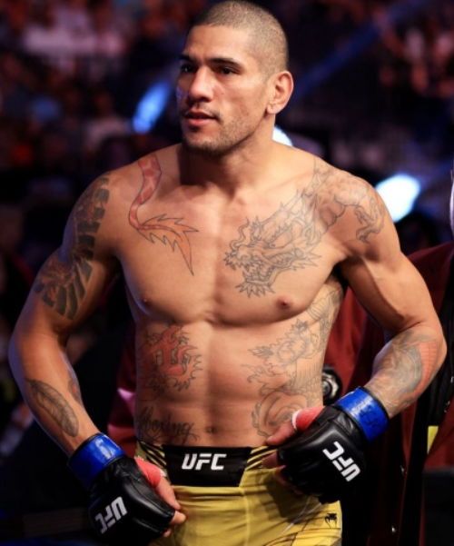 Перейра прохазка. Юфс. Алекс Перейра. UFC