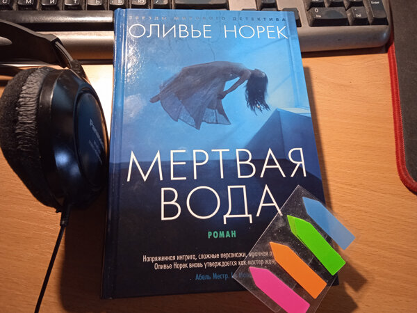 Надо сказать, вполне приличные книги они пишут. По крайней мере, эта вполне тянет на добротный полицейский детектив.