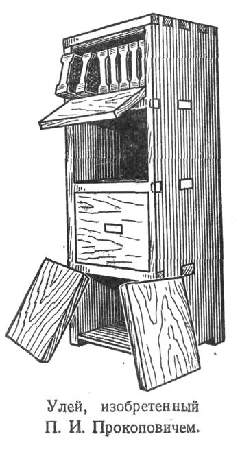 Улей прокоповича чертежи