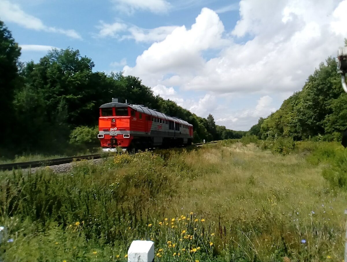 Новый поезд 🚆 через Лев Толстой, Лебедянь и Елец | TRegion48 | Дзен