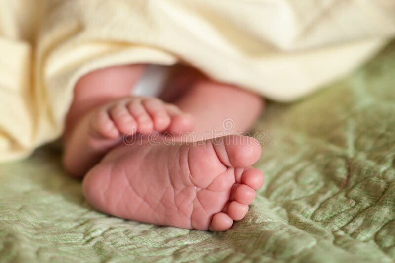 Фото из сети "Интернет" 