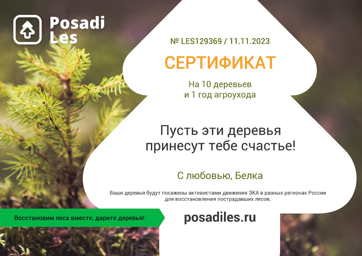 Юбилейный 10й сертификат автора на 10 деревьев и 1 год агроухода.