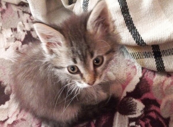 Фенечка. Фото из личного архива