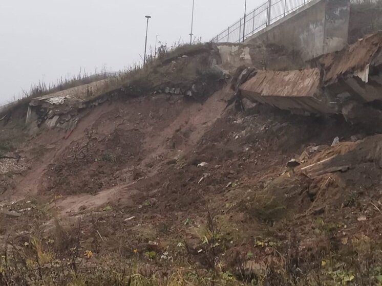    Фото: "МК в Калуге"