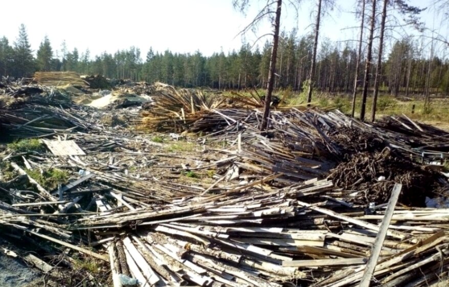 Так примерно выглядят свалки древесных отходов. Не могла найти фото с огромными брëвнами, как было у нас. Картинка из интернета взята для примера. 