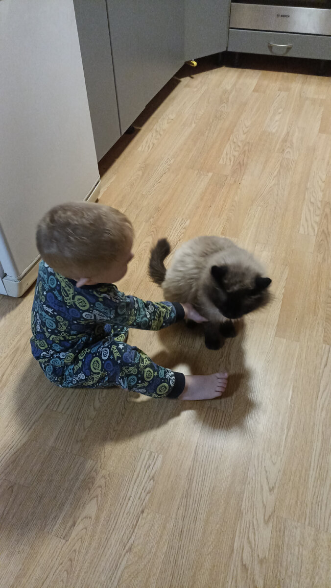 Утром обязательно нужно поздороваться с котом. 