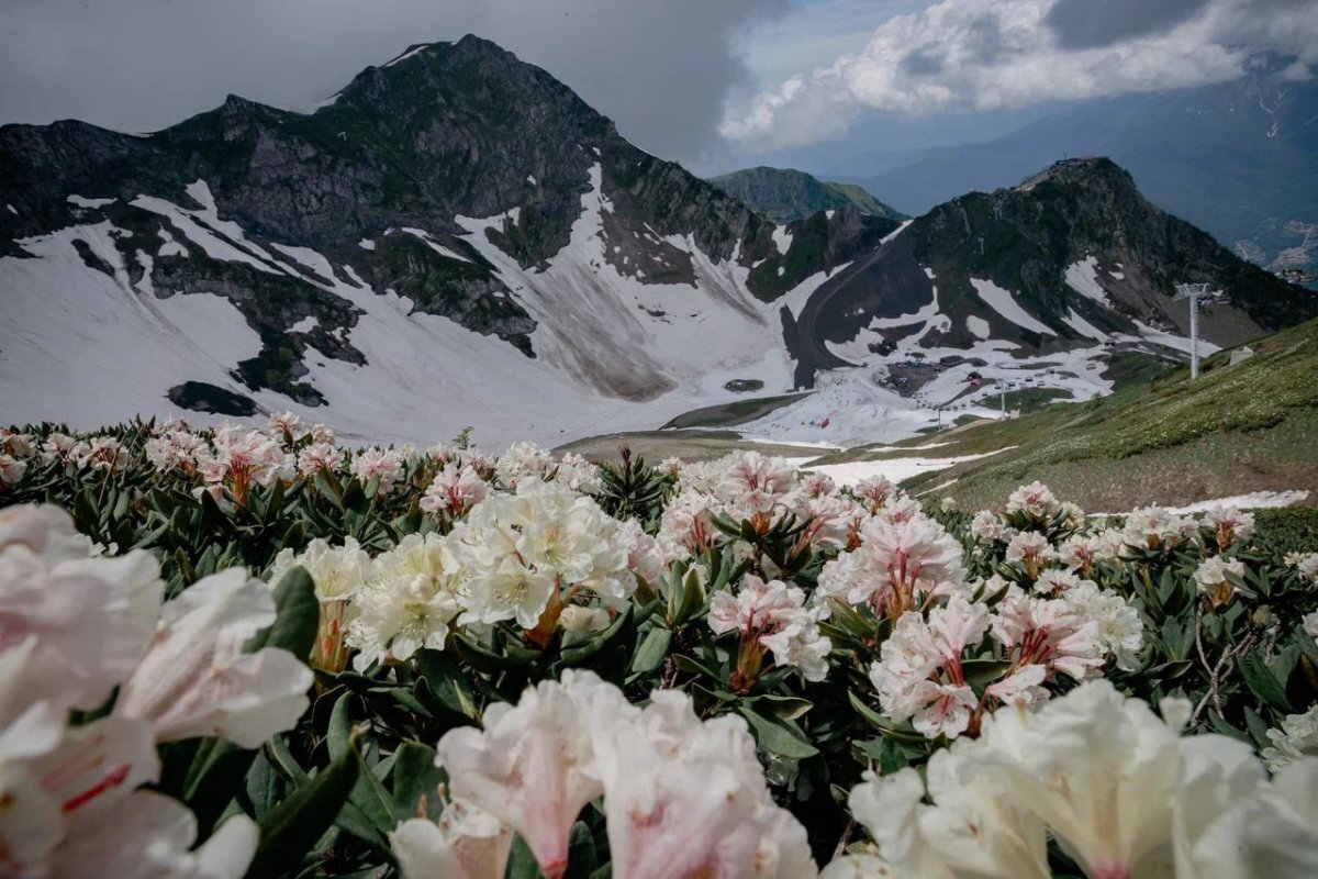    В Сочи на 20% перевыполнили план по курортному сбору, собрав 494 млн рублей