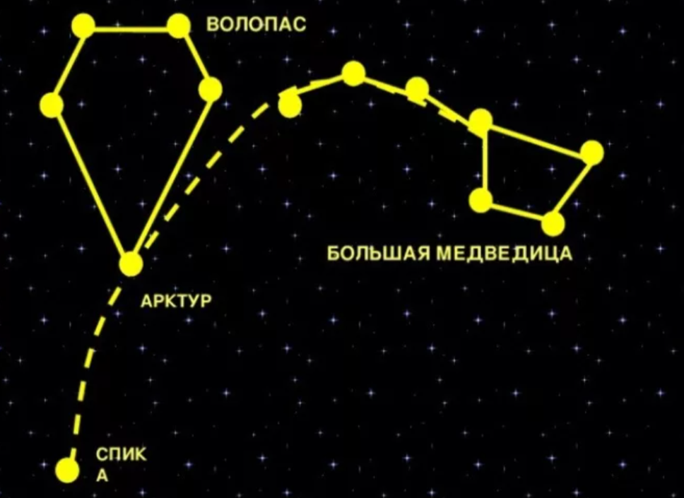 Из открытых источников. 