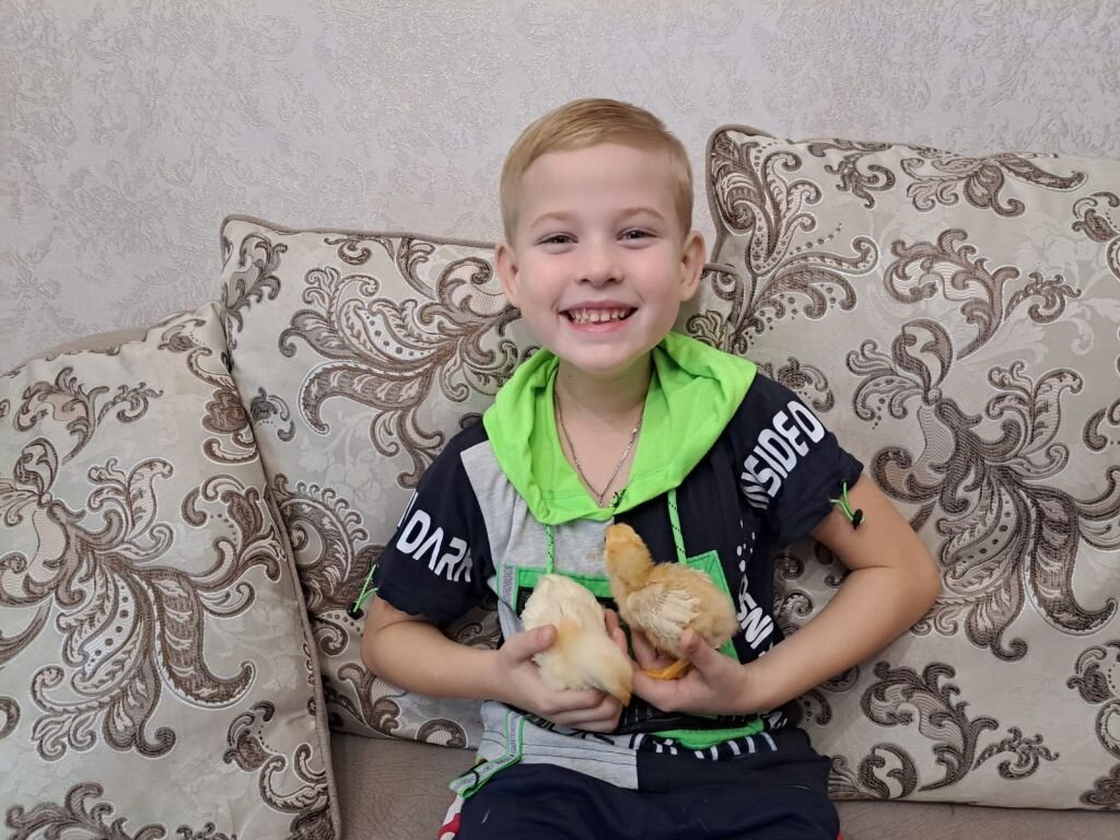     Цыплята в квартире..Ольга Панфилова