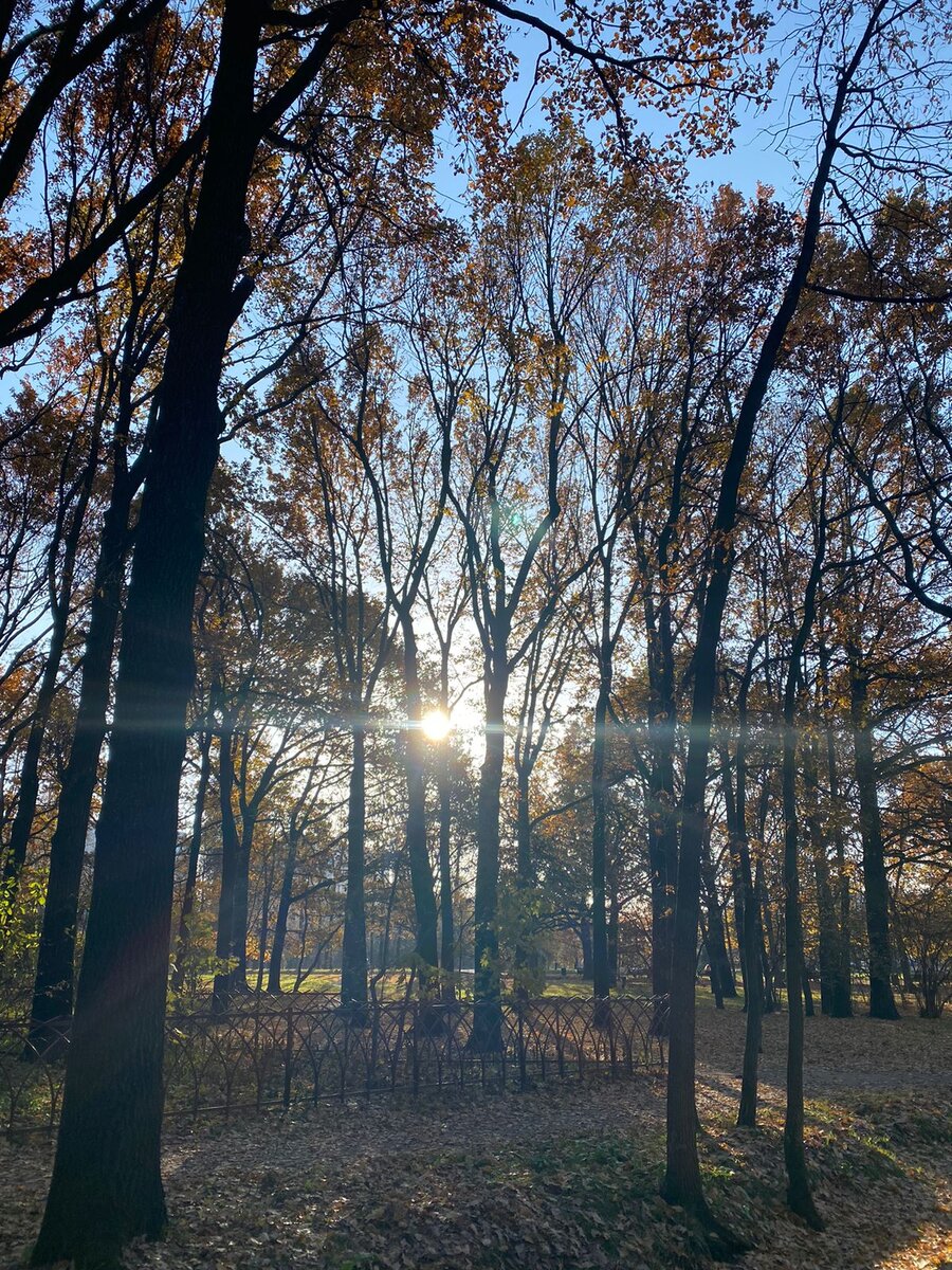 Ученье - свет! ☀️