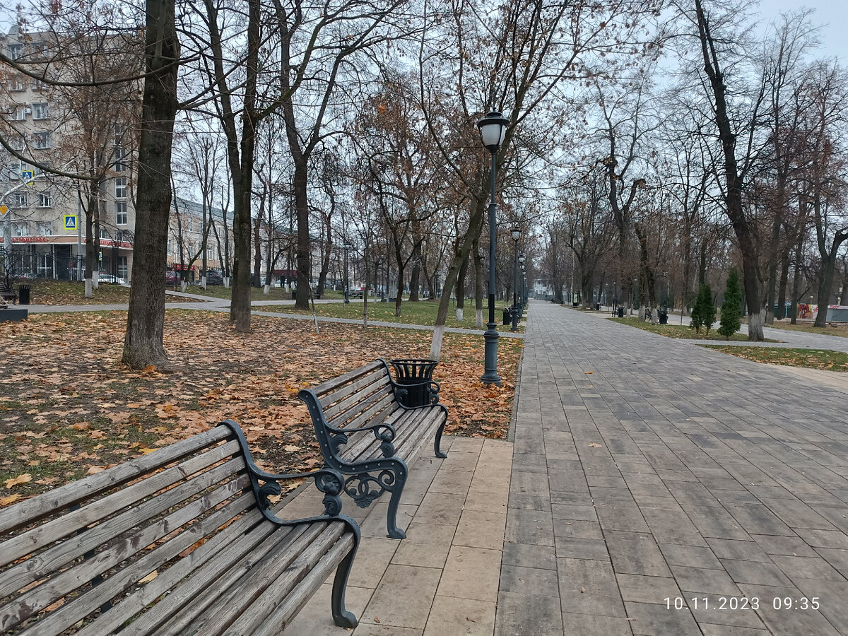 Просто ноябрьский день в городском парке. 