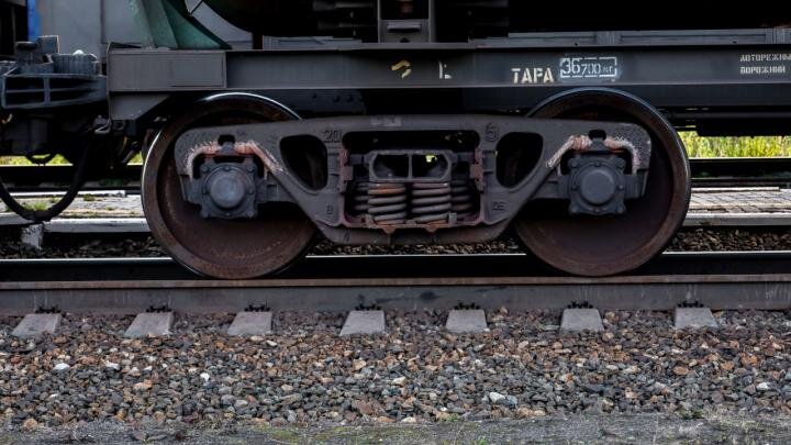 Фото: globallookpress.com/Elena Mayorova