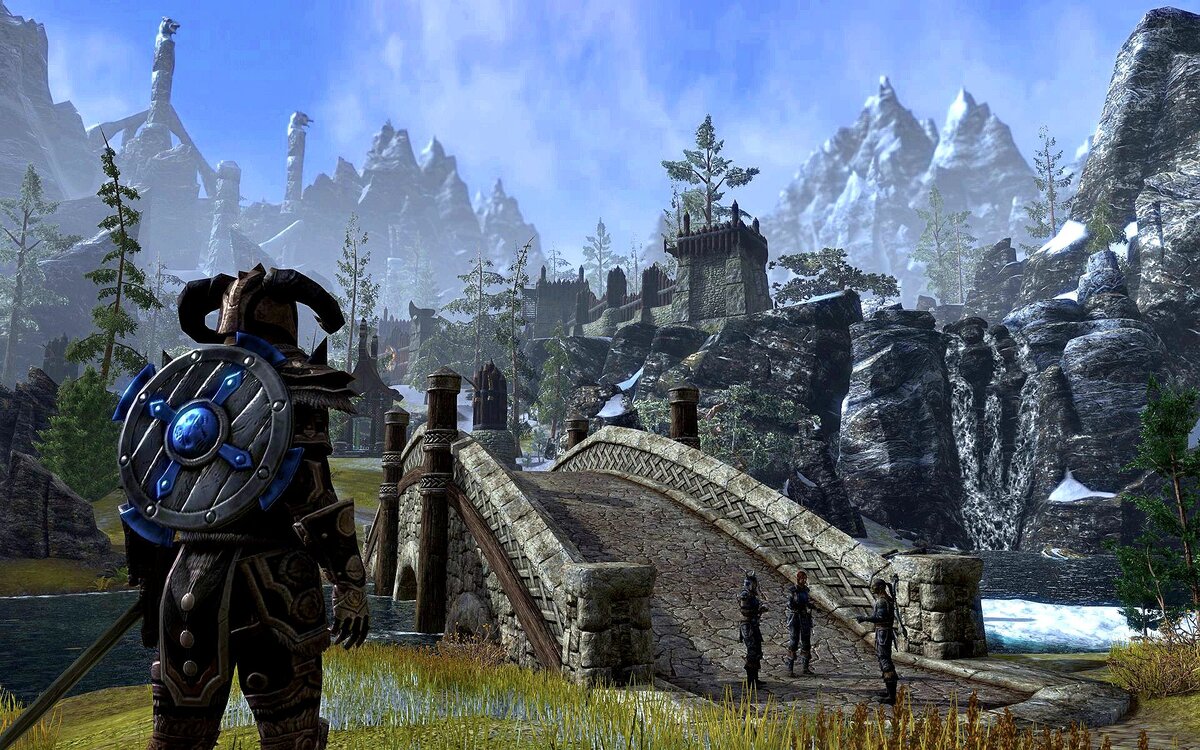 Кадр из The Elder Scrolls Online