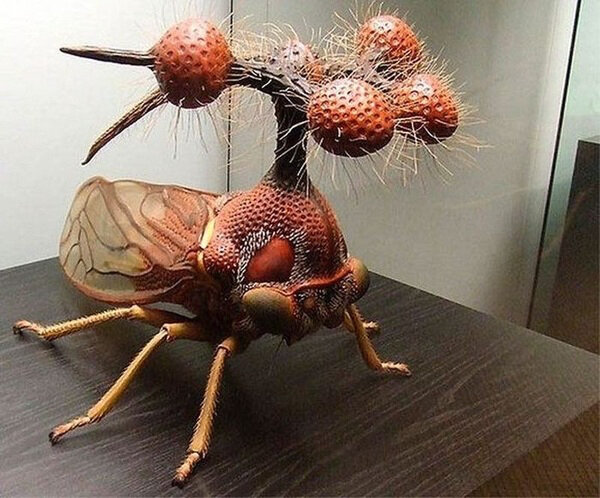 Самые странные, уродливые и ужасные насекомые мира (18 фото) » Невседома