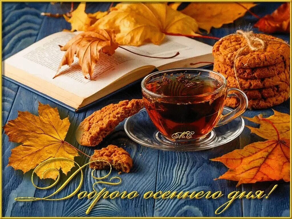 Фото из интернета.