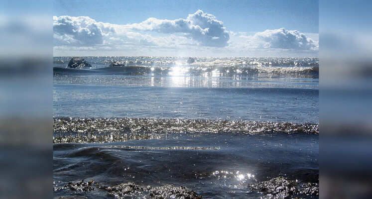 Нарвский залив / Фото: ru.wikipedia.org / a viento / CC BY-SA 3.0