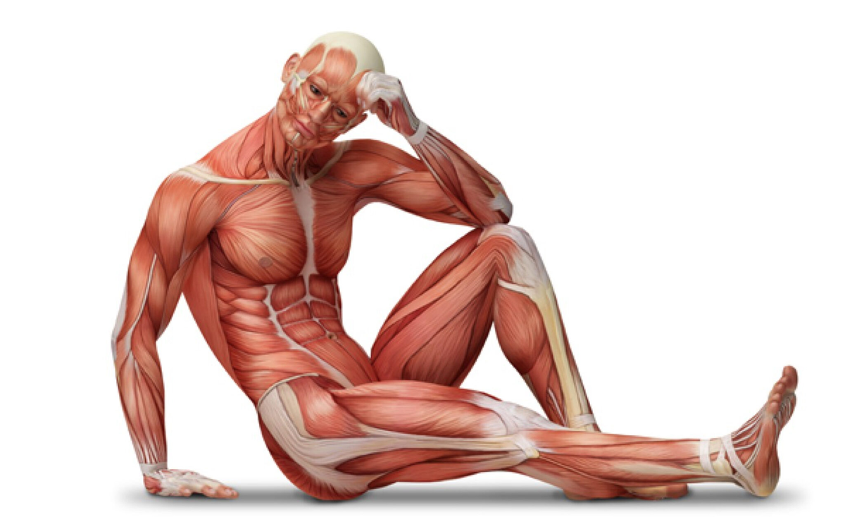 Источник фотографии: Яндекс картинки 