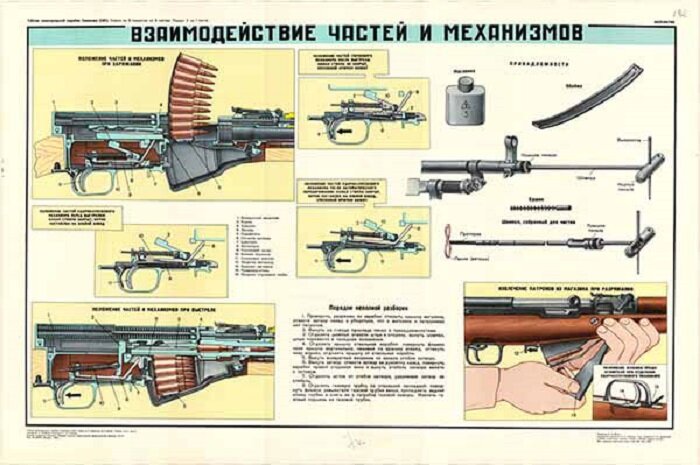 Карабин скс характеристики. Плакат 7.62-мм самозарядный карабин Симонова СКС. Части карабина СКС. Составные части СКС карабина. СКС карабин плакат.