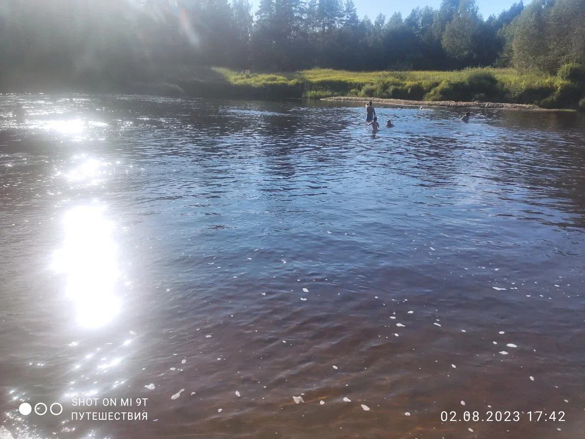 Фото автора