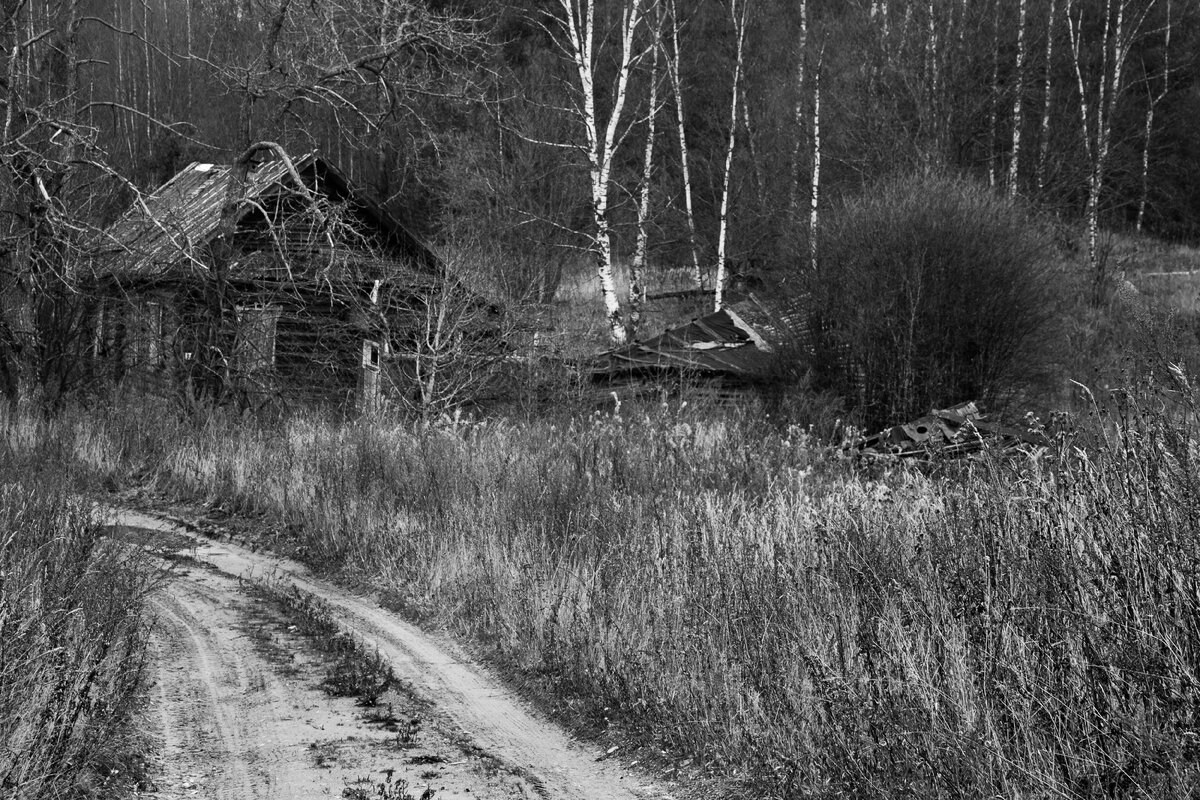 Тверская область, село Токариха , 2011. Автор фотографии Корчагина Татьяна©