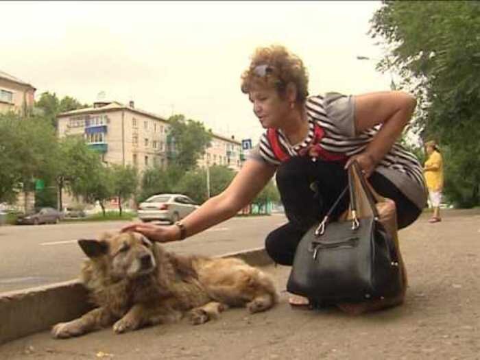  Найда 12 лет ждала своего погибшего хозяина.