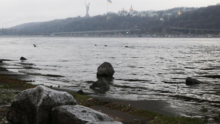 Фото: globallookpress.com/Sergey Starostenko