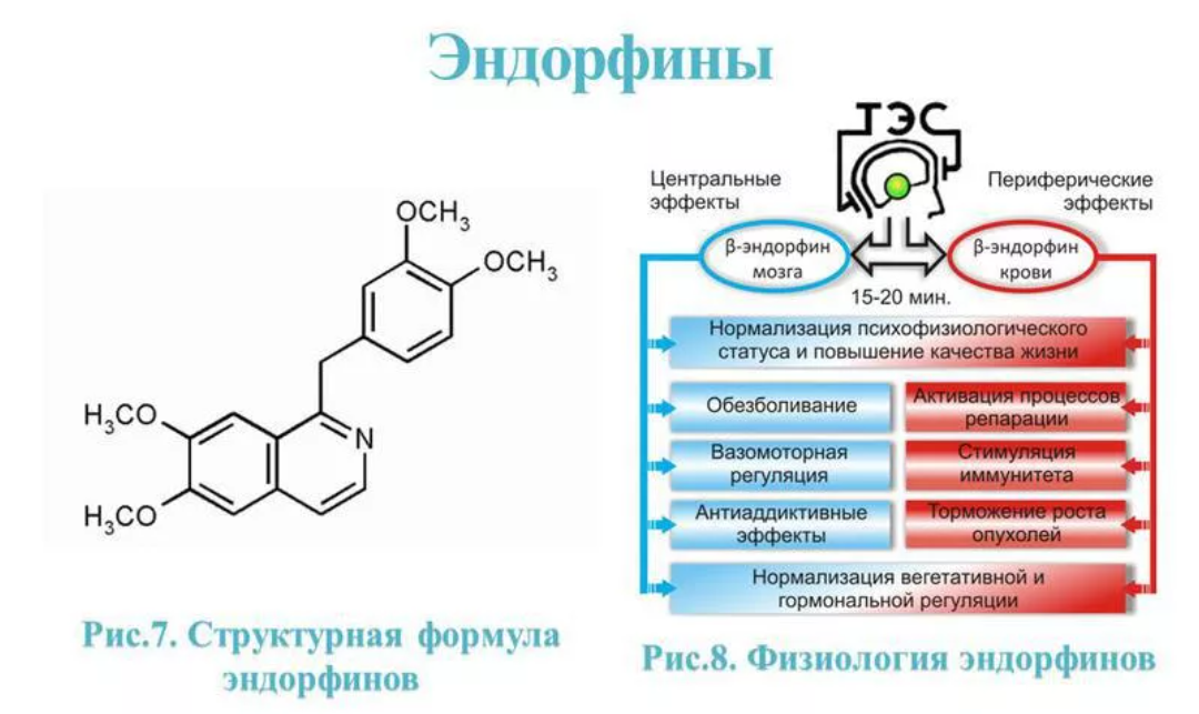 Про эндорфины. Гормон счастья формула химическая. Химическая формула эндорфина. Формула серотонина биохимия. Химическая схема эндорфина.