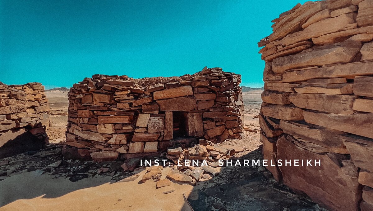 Как выглядит Навамис 