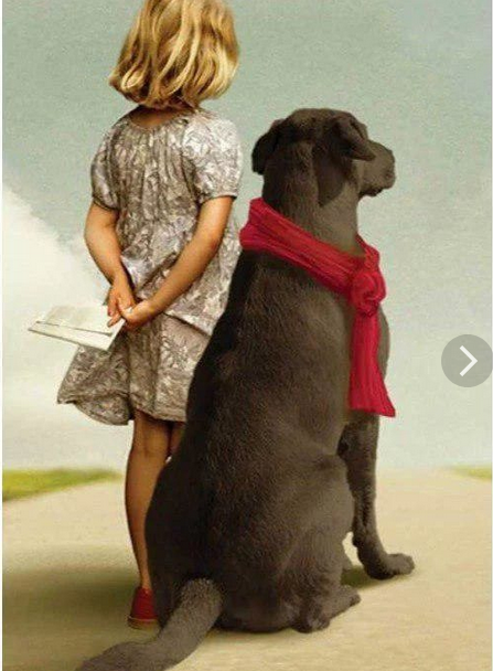 Иллюстрация из интернета. 