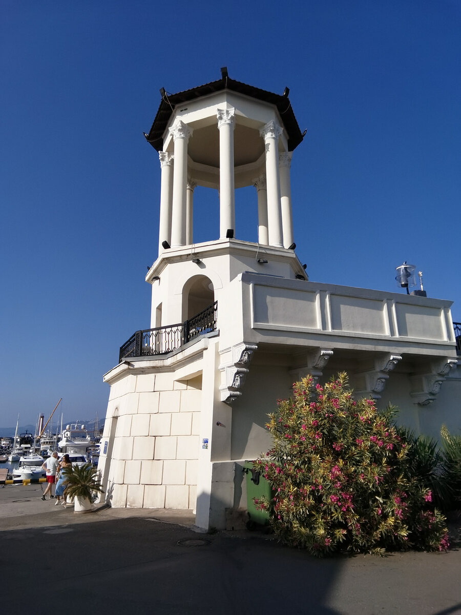 ...и олеандры )