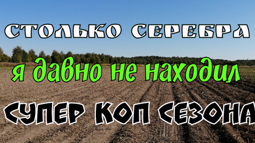 СТОЛЬКО СЕРЕБРА Я ДАВНО НЕ НАХОДИЛ, СУПЕР КОП СЕЗОНА. ПОИСК АРТЕФАКТОВ И СТАРИНЫ С ЭКВИНОКС800.