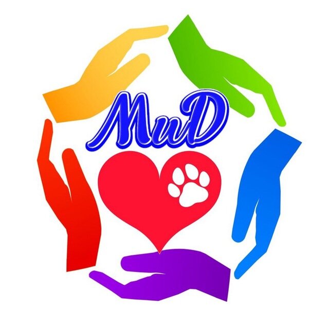 мид ищут дом