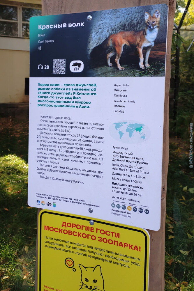 2. Красный волк — табличка © NickFW.ru — 12.09.2023г.