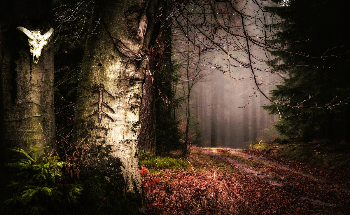 Мрачный пейзаж. Страшный лес. Жуткий лес. Мрачный лес. Зловещие звуки