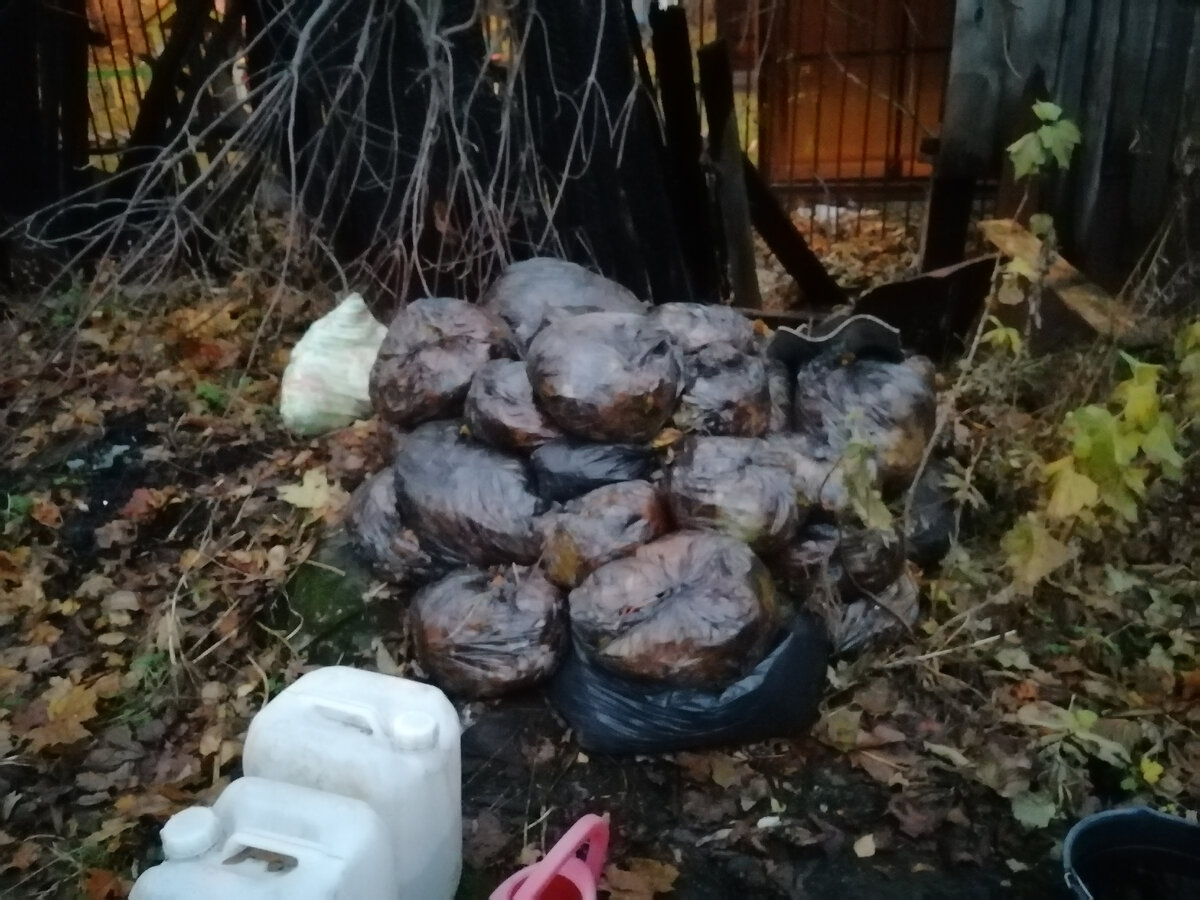 Должно на зиму сохранить тепло 