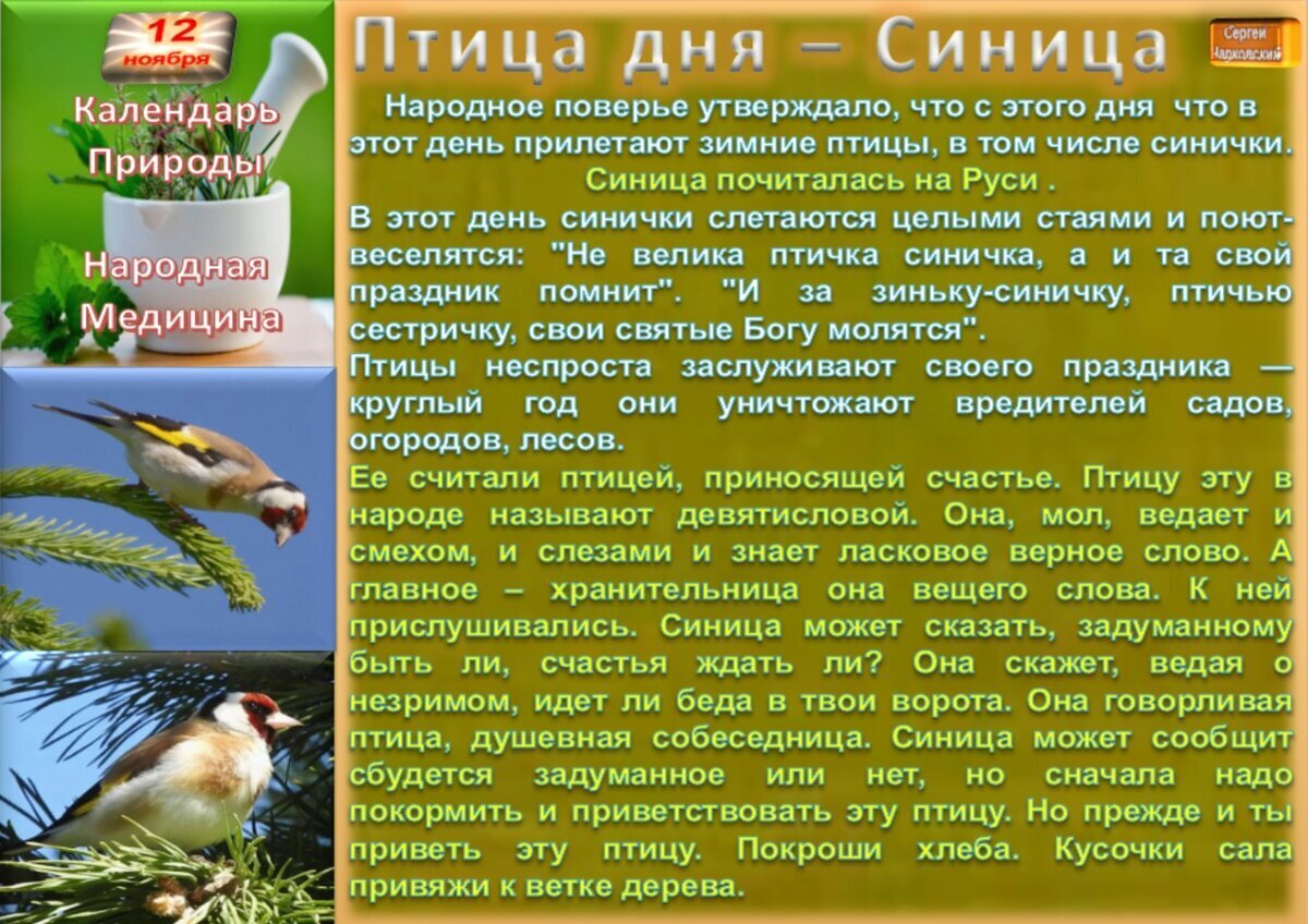 24 апреля приметы и поверья. 24 апреля приметы и поверья