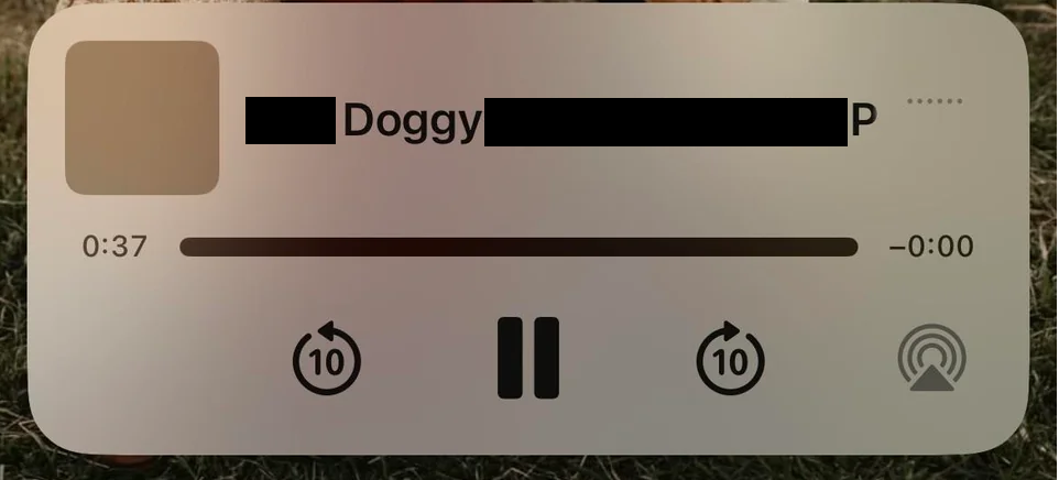    На всякий случай мы замазали часть названия видео