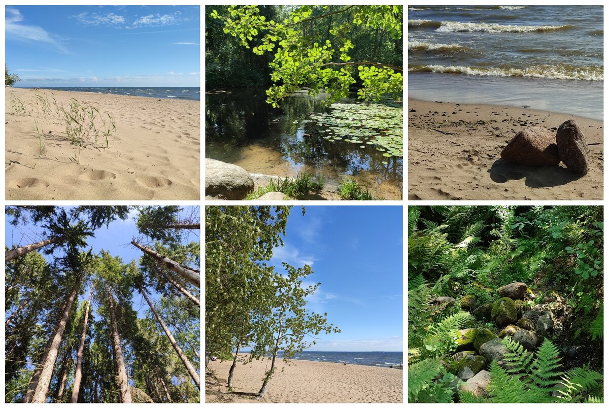 Природа во всех видах! Пальм нет, это да 😼