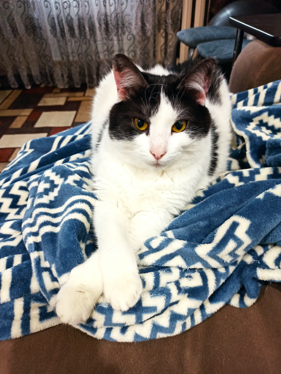 Спот. Красавчик, я считаю. 