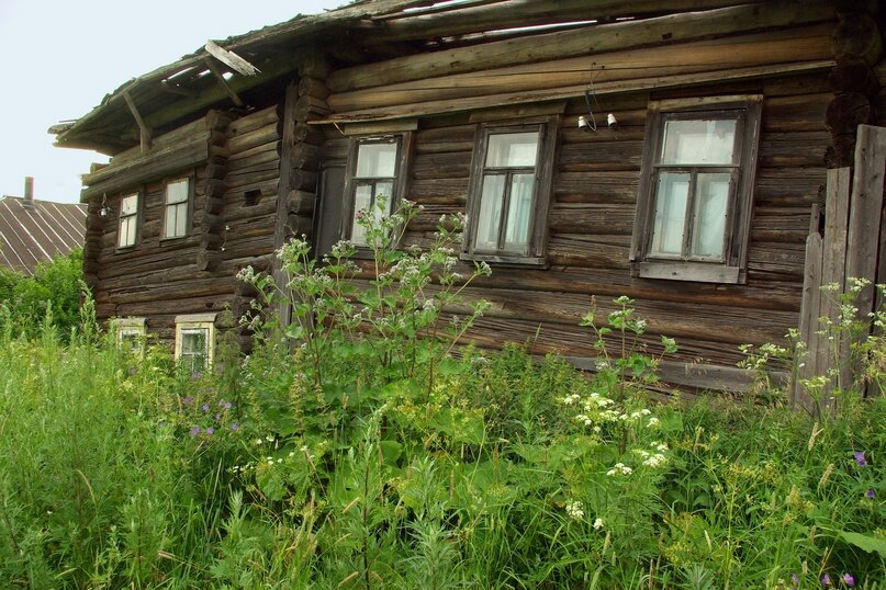 Всё поросло травой забвения. Фото Валерия ТАЛАШОВА.