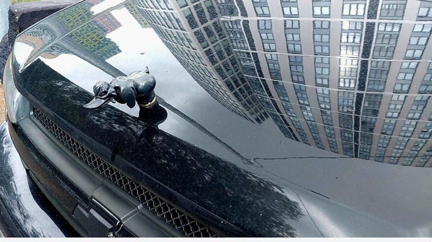 Отражение на капоте - мой офисный центр, где работала. Но фото снято сам капот показать. Вот с таким смешным украшением на нем). Чья-то машина.