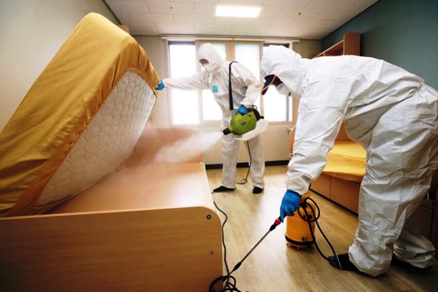 Как парижские клопы захватывают Южную Корею | Александр Снитовский | Дзен