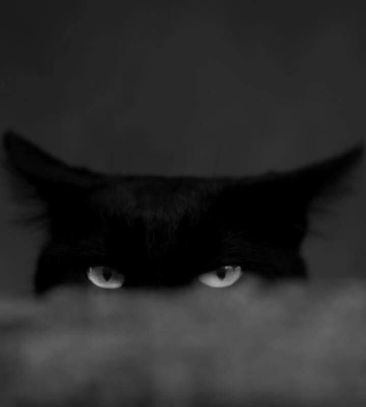 Источник фото: https://ru.pinterest.com