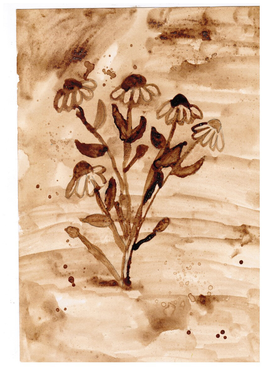 Рисунок Серафима