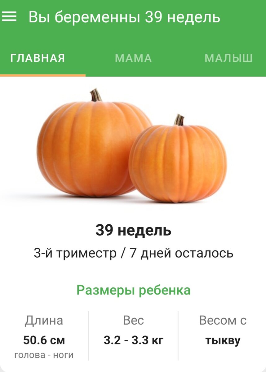 Неделя до ПДР: на низком старте или торопиться некуда? | Путешествуем с  малышами | Дзен